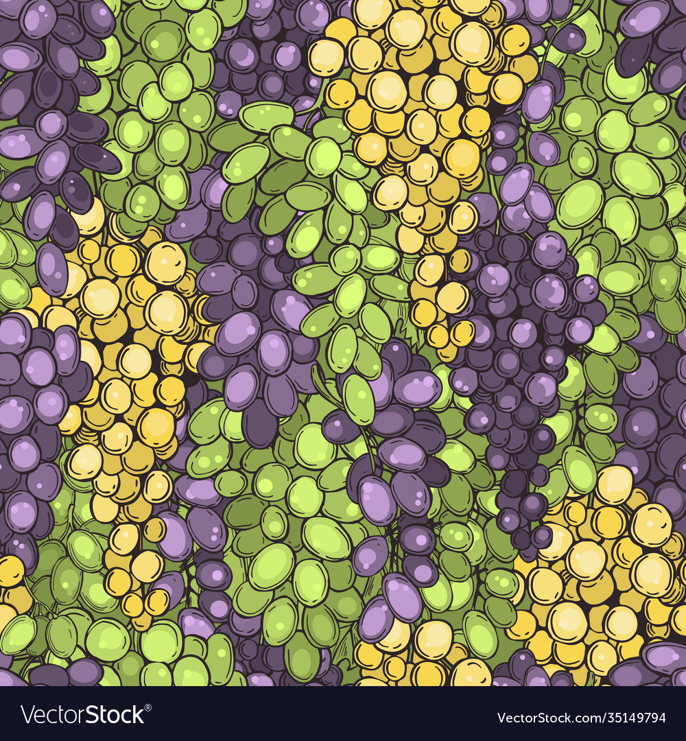 Grapes pattern Royalty Free Vector Image - VectorStock