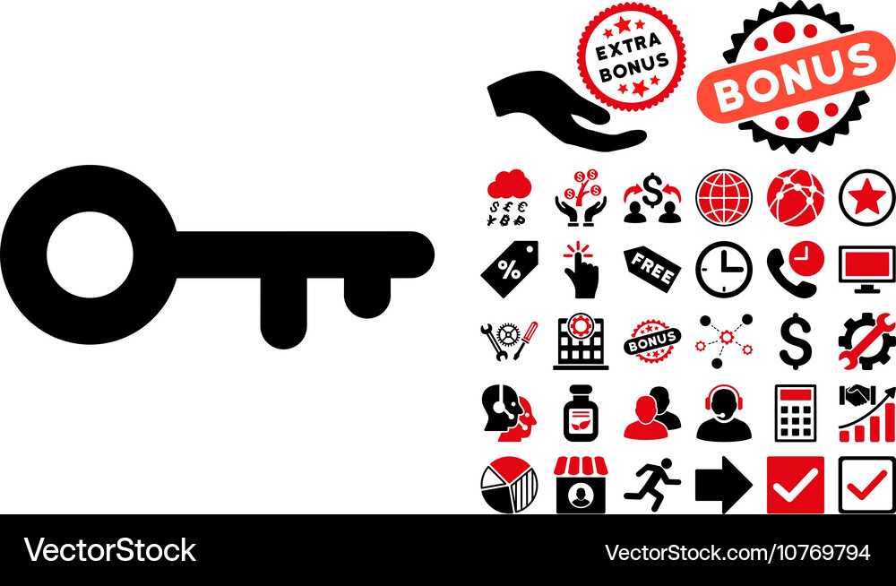 Key flat icon with bonus Royalty Free Vector Image