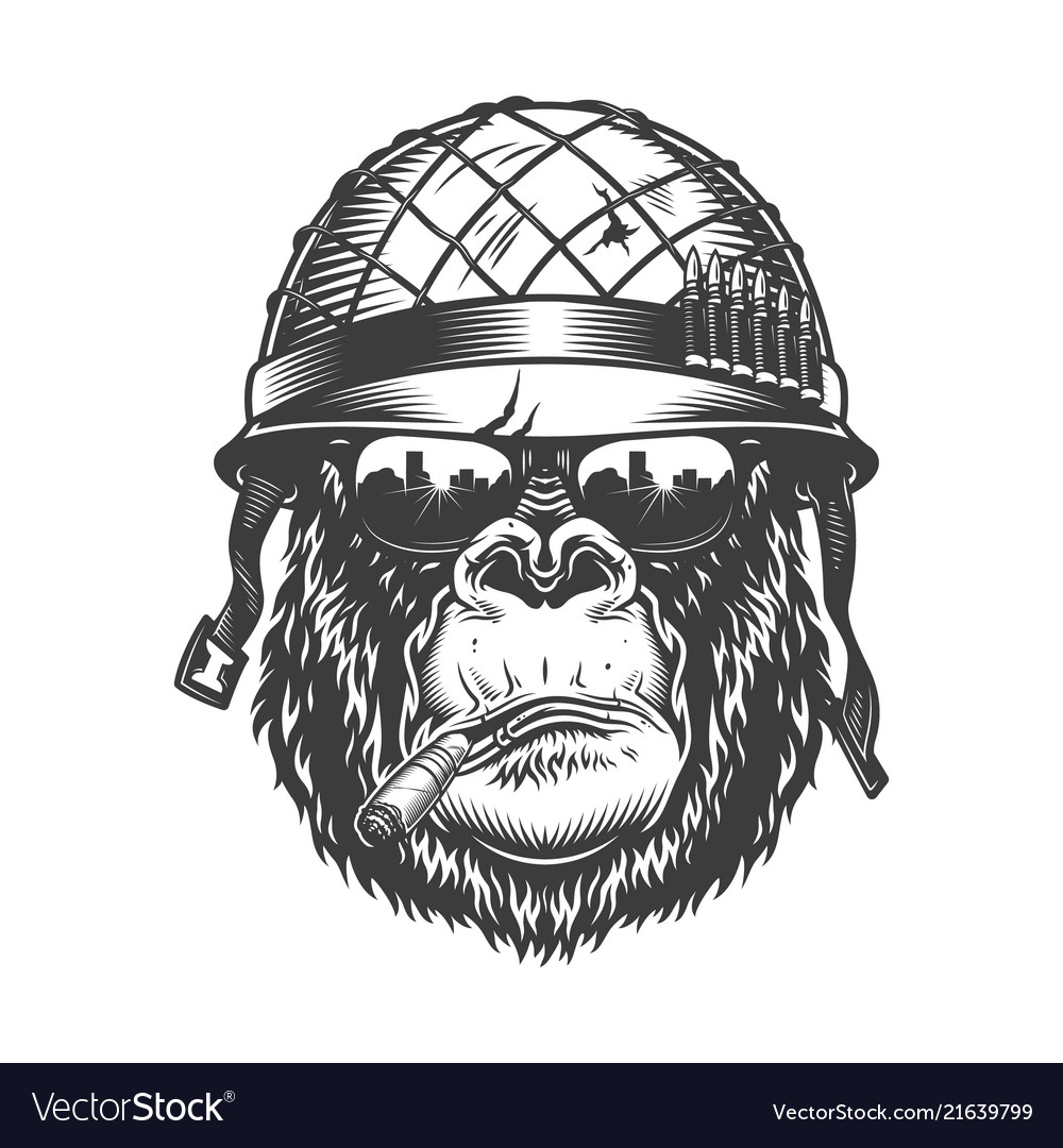 Gorilla head in monochrome style Royalty Free Vector Image