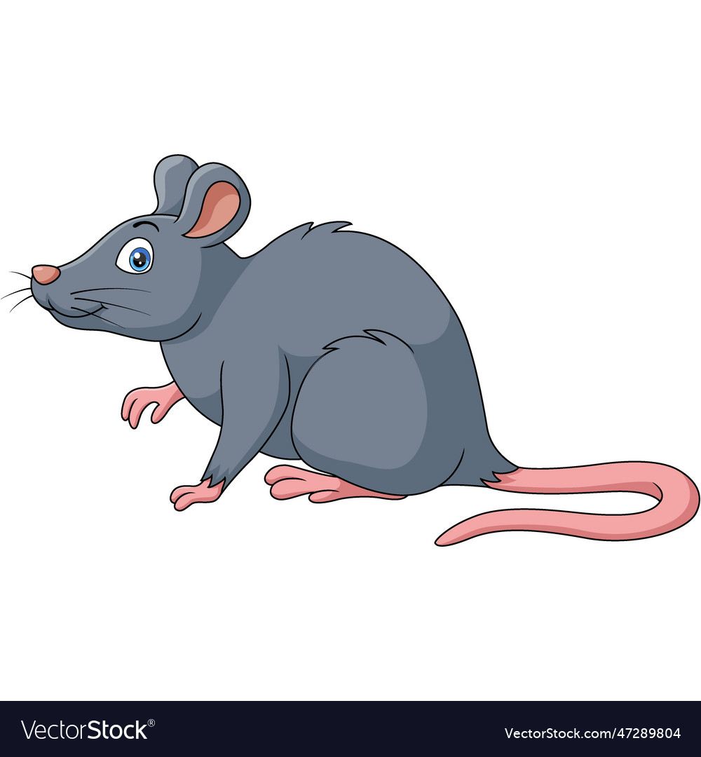 Cute mouse cartoon on white background Royalty Free Vector