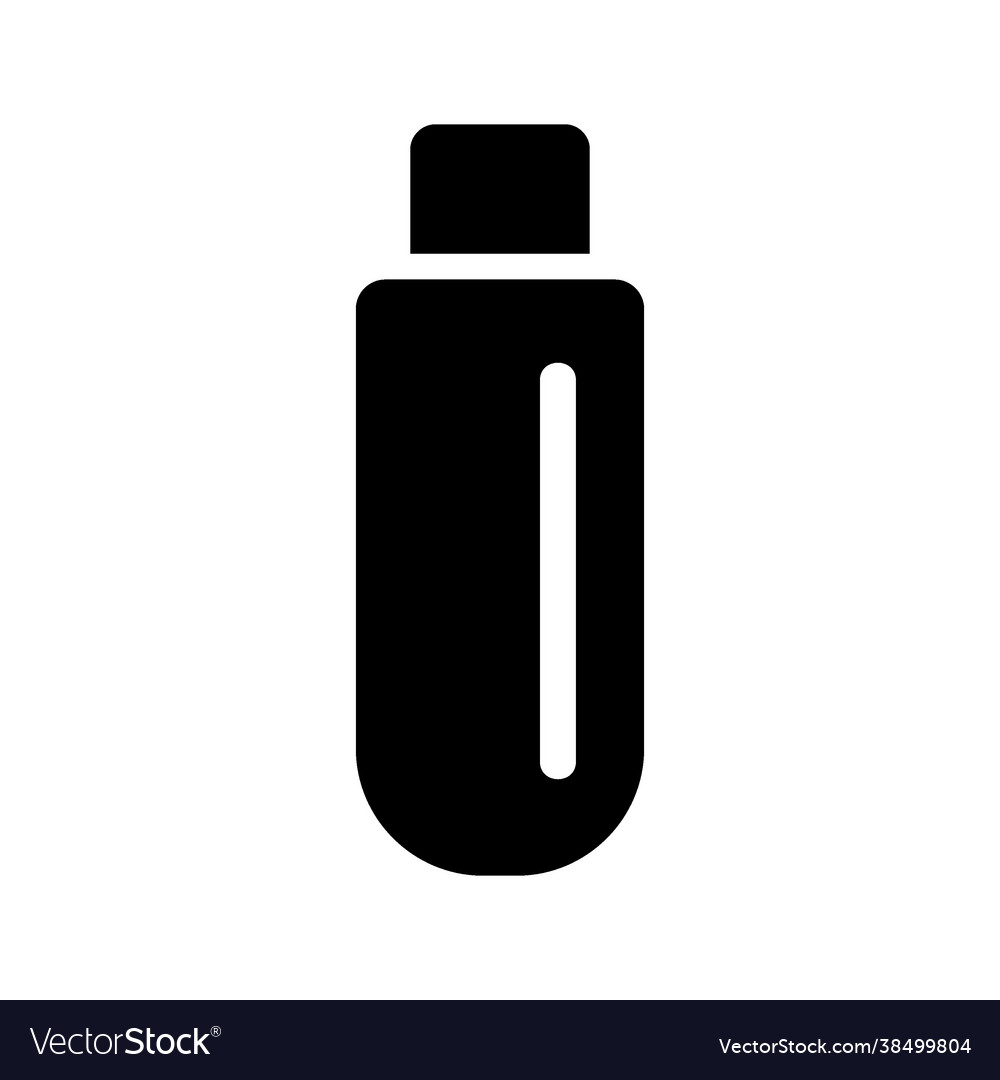 Flash disk icon vector image Flash disk icon