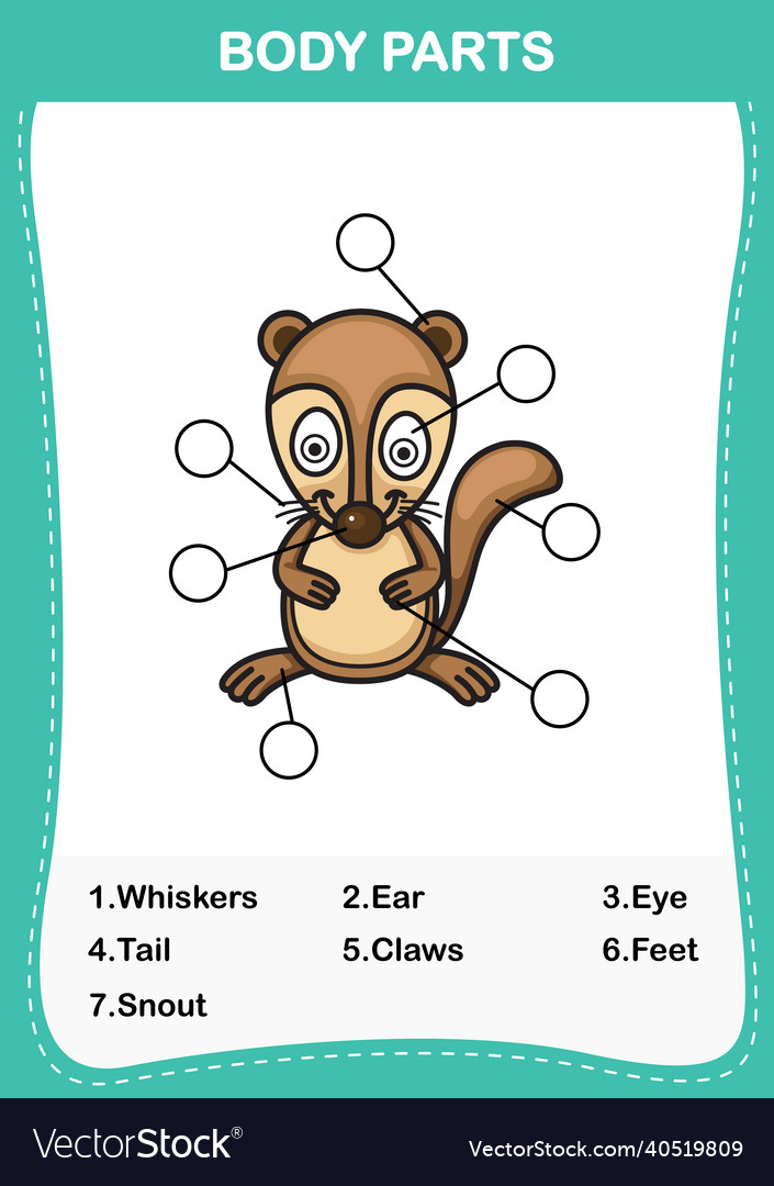 Body Part Worksheet for Kids