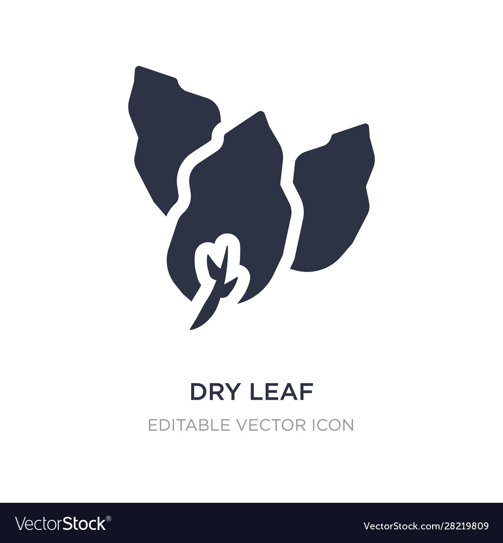 Dry leaf icon on white background simple element
