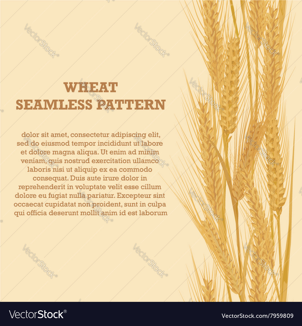 Ears wheat vertical border seamless pattern