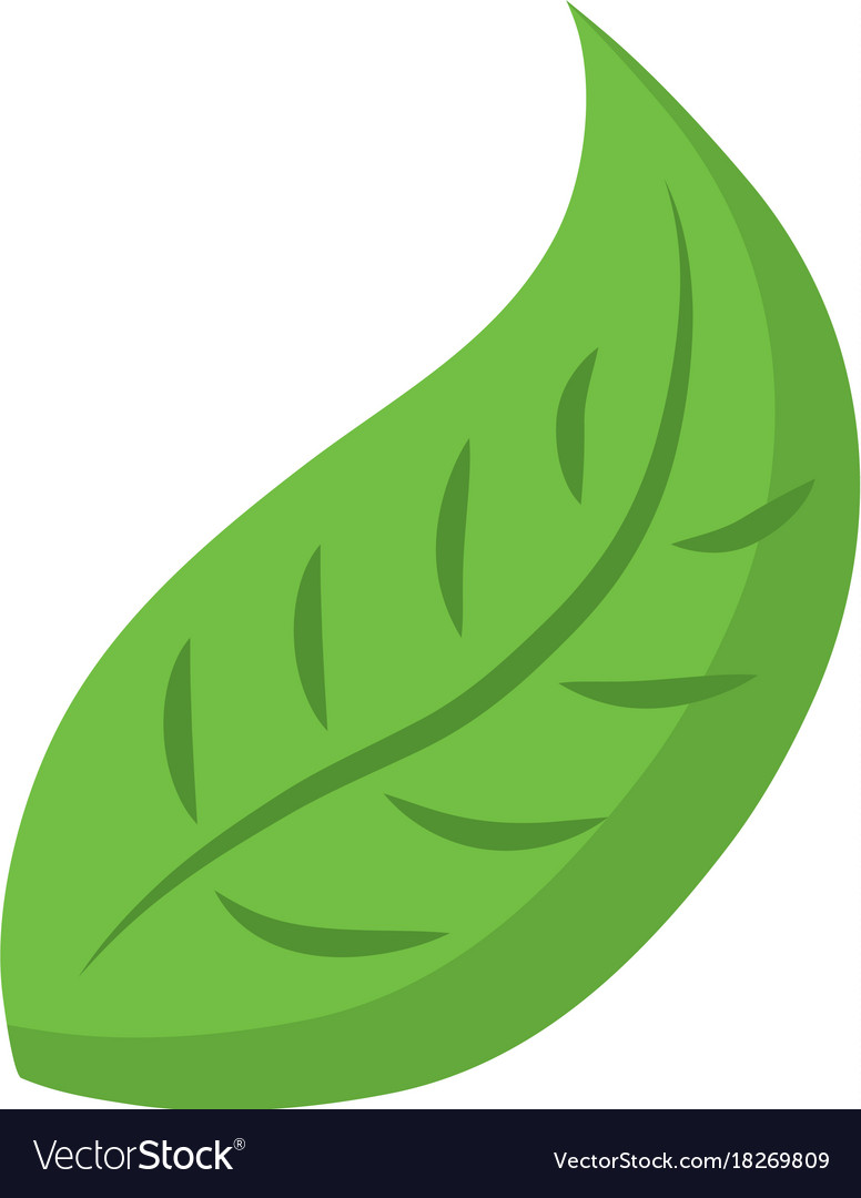 Leaf icon image Royalty Free Vector Image - VectorStock