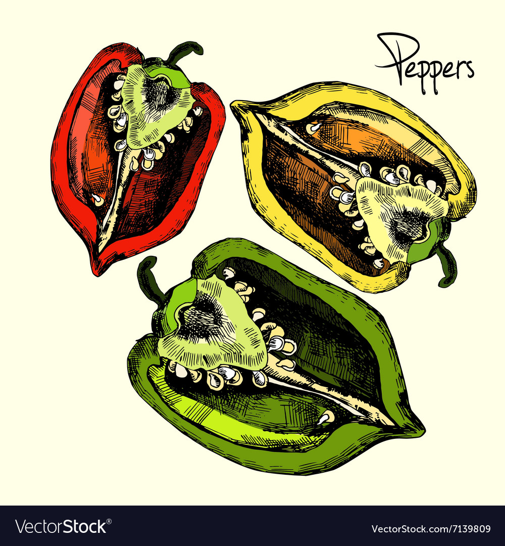 Set of peppers