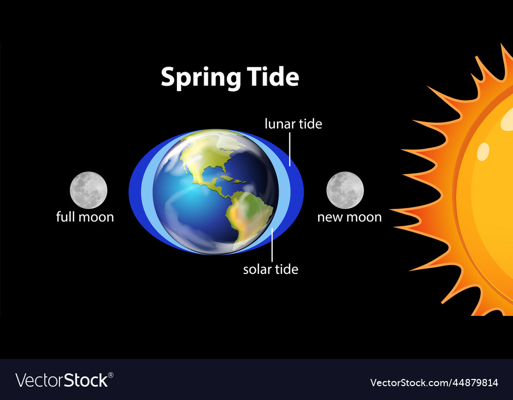 Spring Tide Definition Science