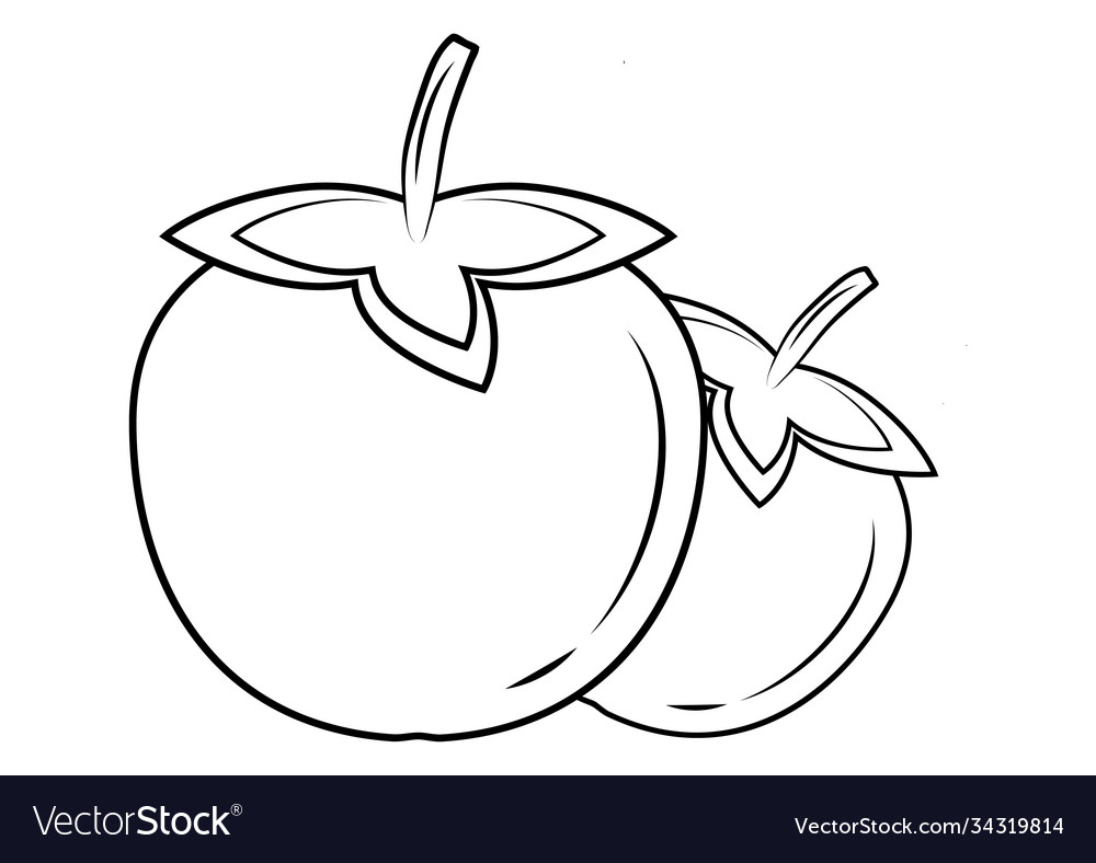 Persimmon outline icon thin line black kaki fruit Vector Image Persimmon outline icon thin line black kaki fruit