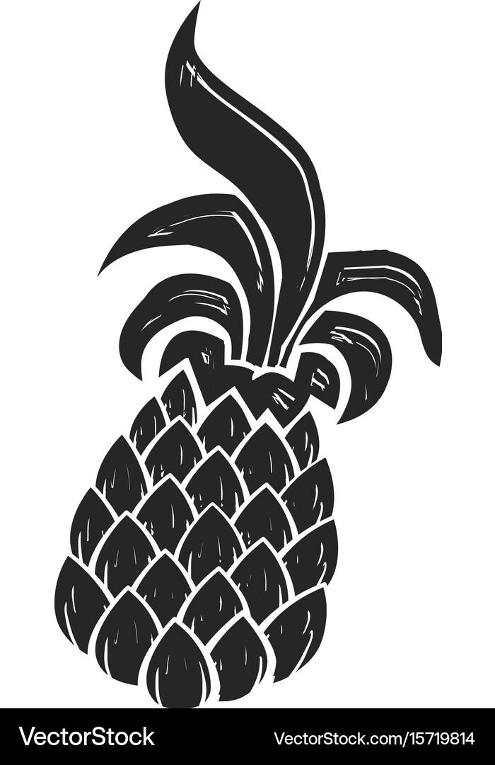 Pineapple fruit Royalty Free Vector Image - VectorStock