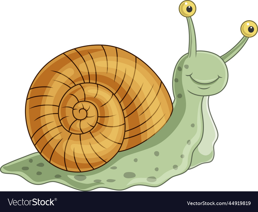 Cartoon snail isolated on white background Vector Image