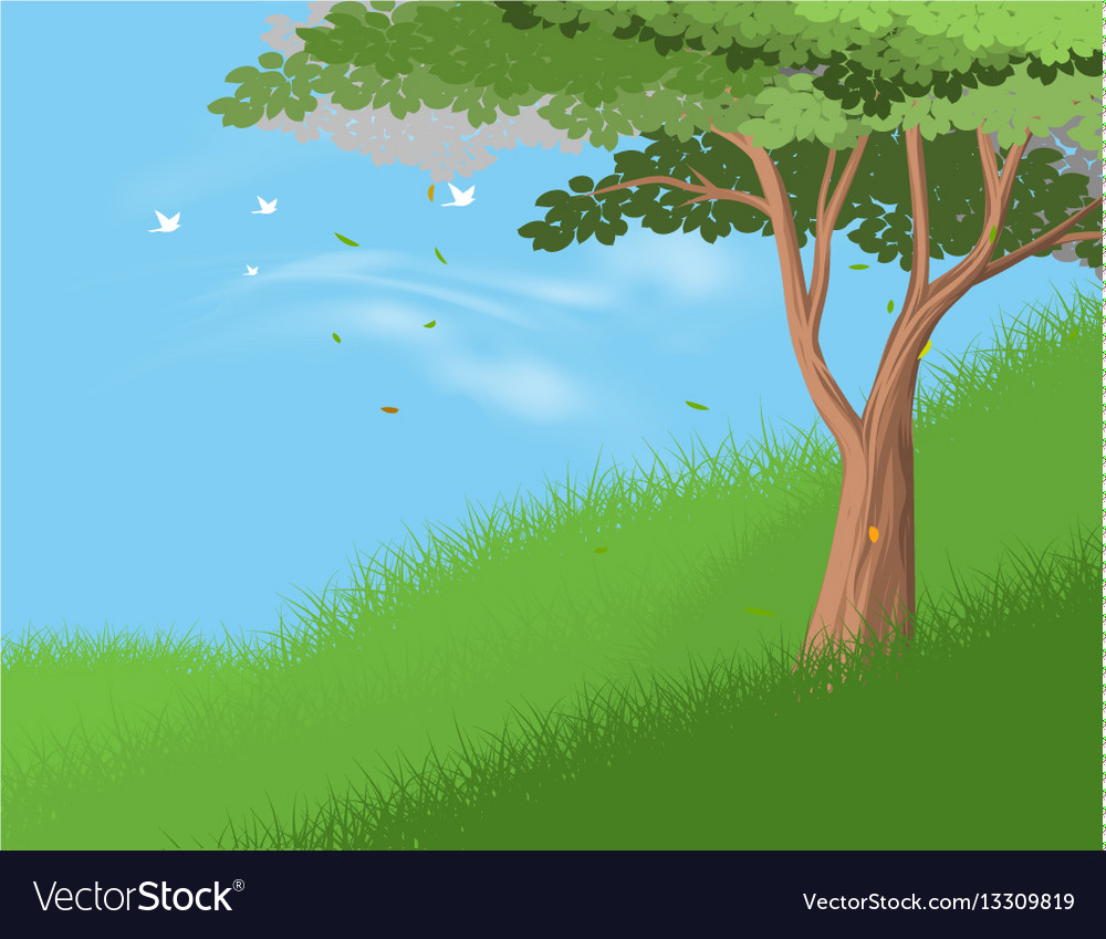 Tree on hill