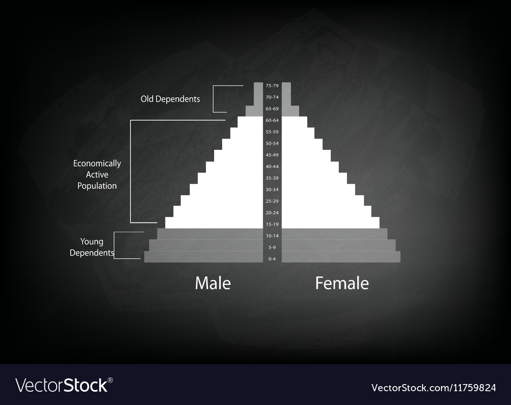 Detail of population pyramids graphs depend on age