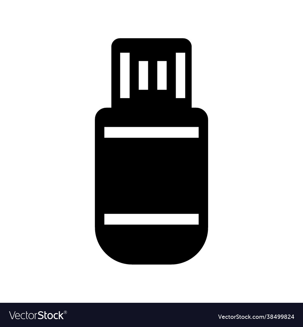 Flash disk icon vector image Flash disk icon