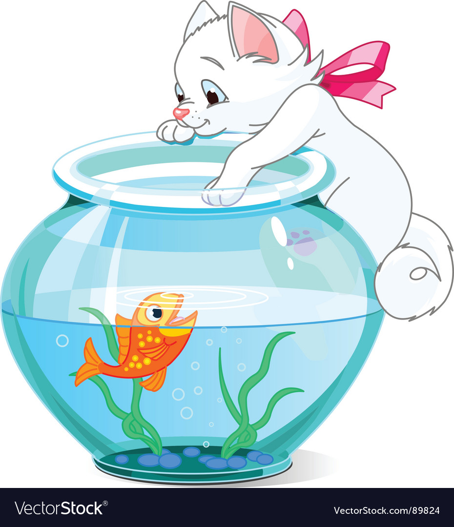 kitten fish