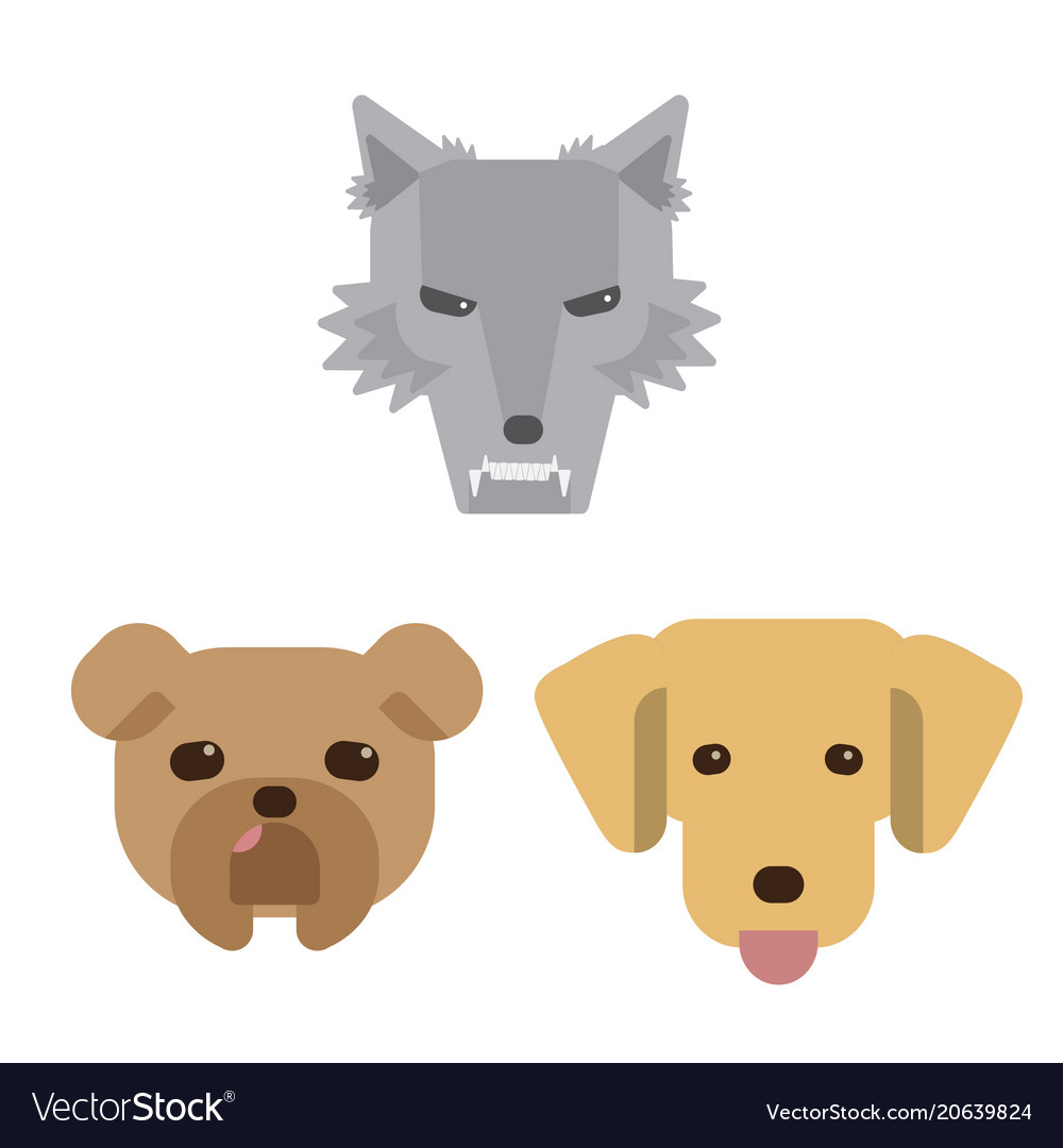 Wolf bulldog and golden retriever