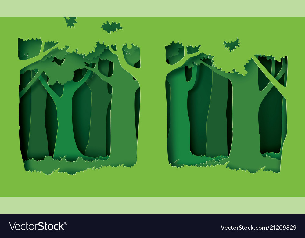 Forest with trees and grass