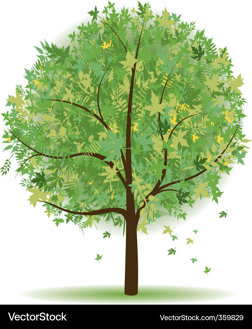Green tree Royalty Free Vector Image - VectorStock