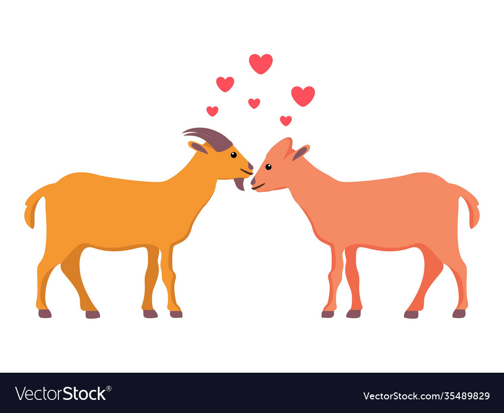 Valentines day animal couple goat flat design Vector Image