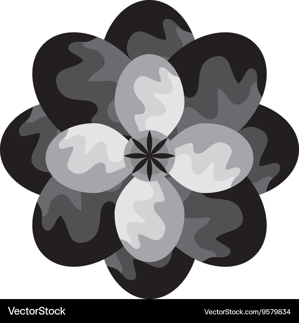 Black and grey flower graphic Royalty Free Vector Image