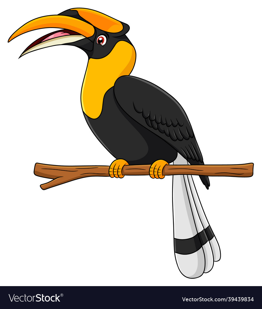 Cute hornbill bird cartoon Royalty Free Vector Image