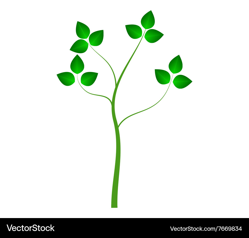 Tree on white background Royalty Free Vector Image