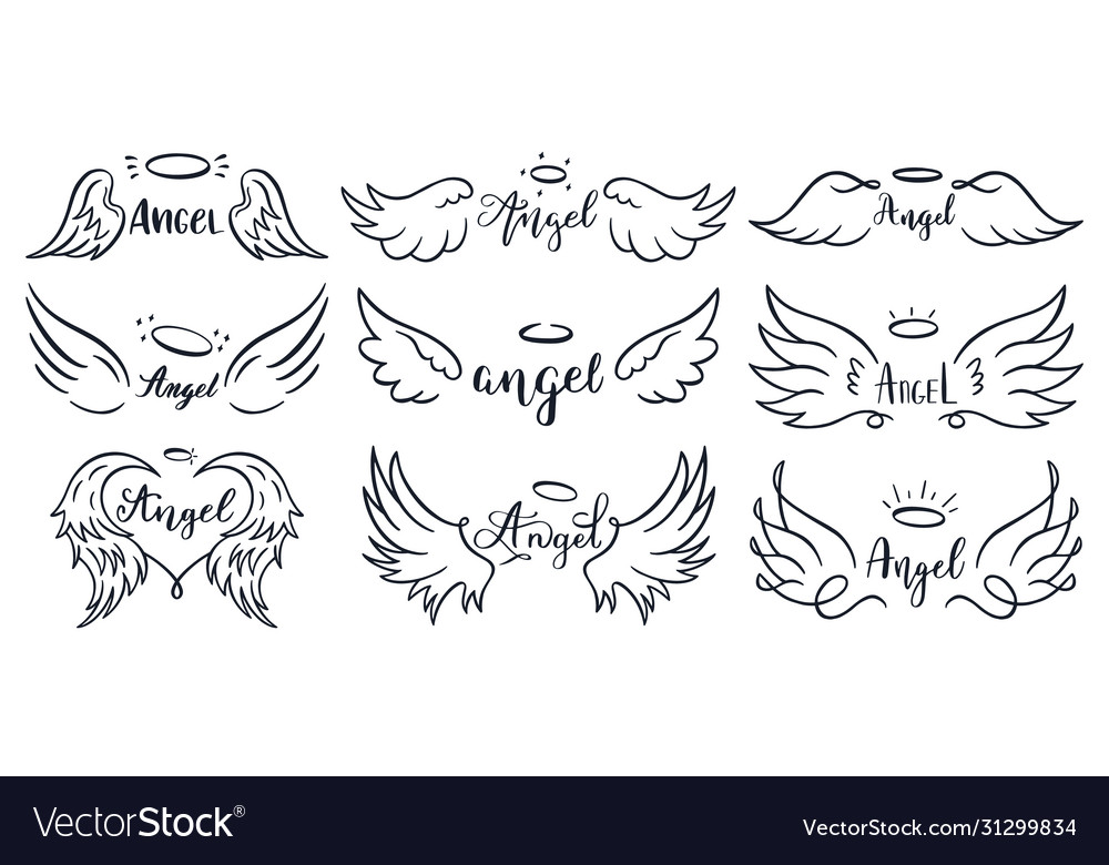 Wings hand drawn lettering doodle elegant angel vector image Wings hand drawn lettering doodle elegant angel