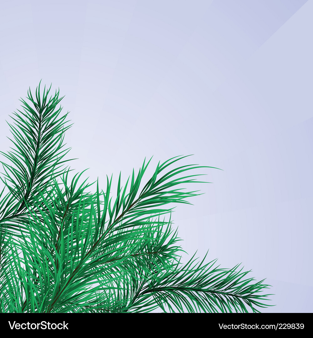 Green Pine Branch Frame Royalty Free Vector Image