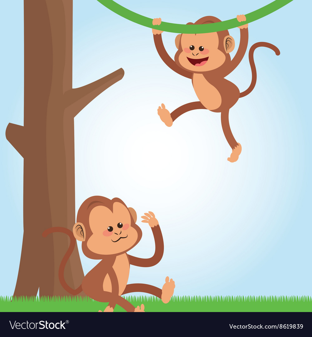 Monkey design animal and cartoon concept Vector Image