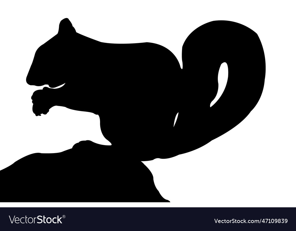 Eichhörnchen Silhouette