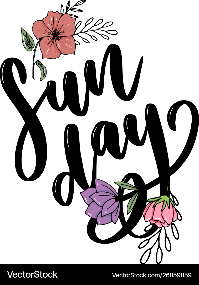 Sunday - hand drawn lettering phrase modern brush Vector Image