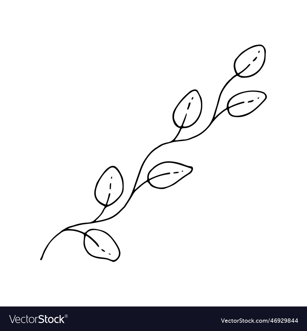 Branch with leaves line art floral summer plant Vector Image