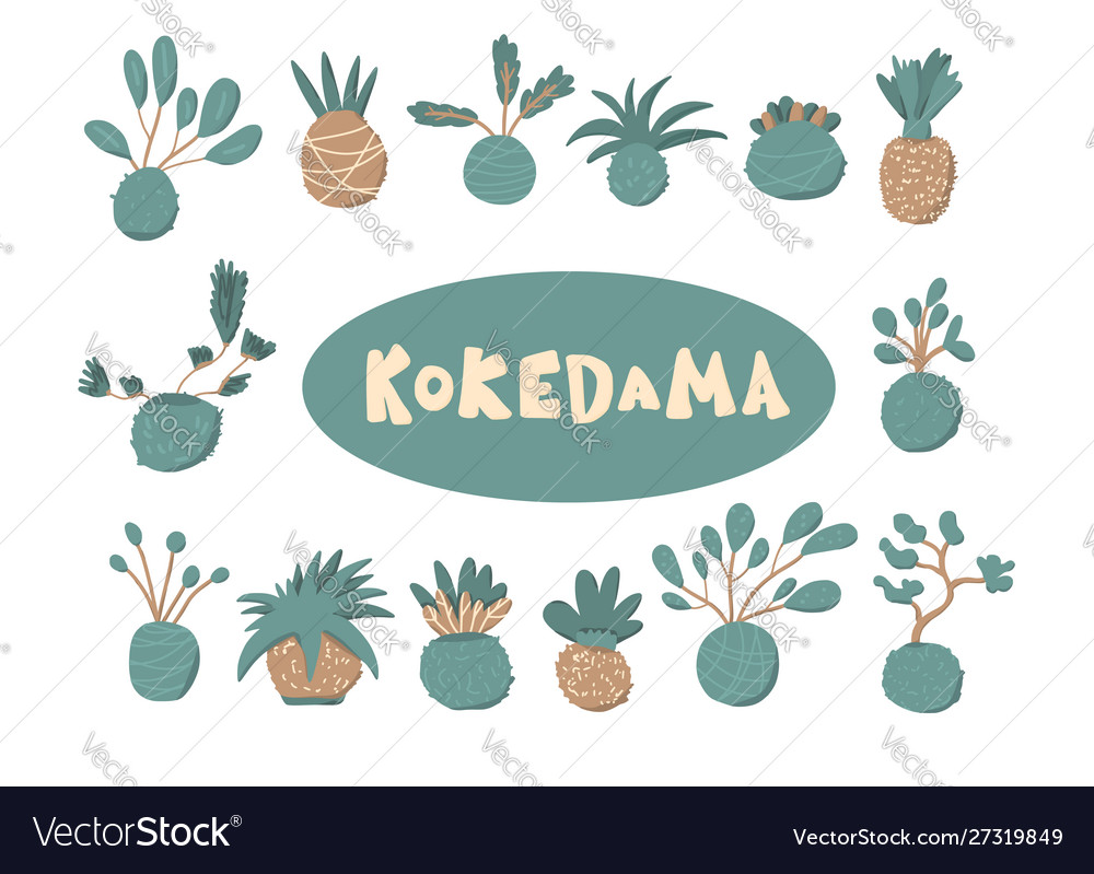 Kokedama set doodle asiatische Pflanzensammlung