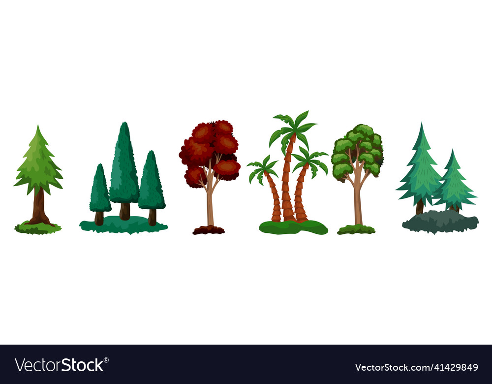 Set of 6 different trees on a white background
