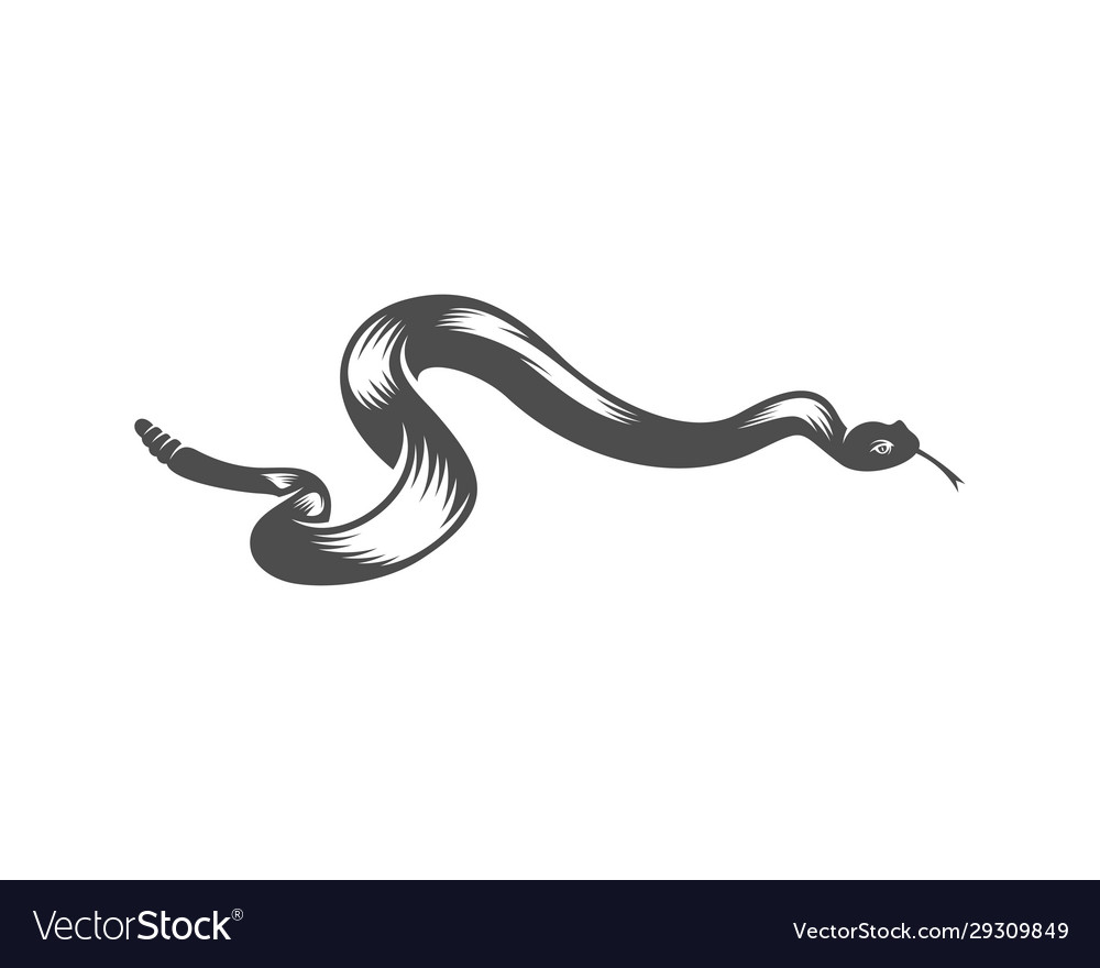 Viper snake logo design animal graphic Royalty Free Vector