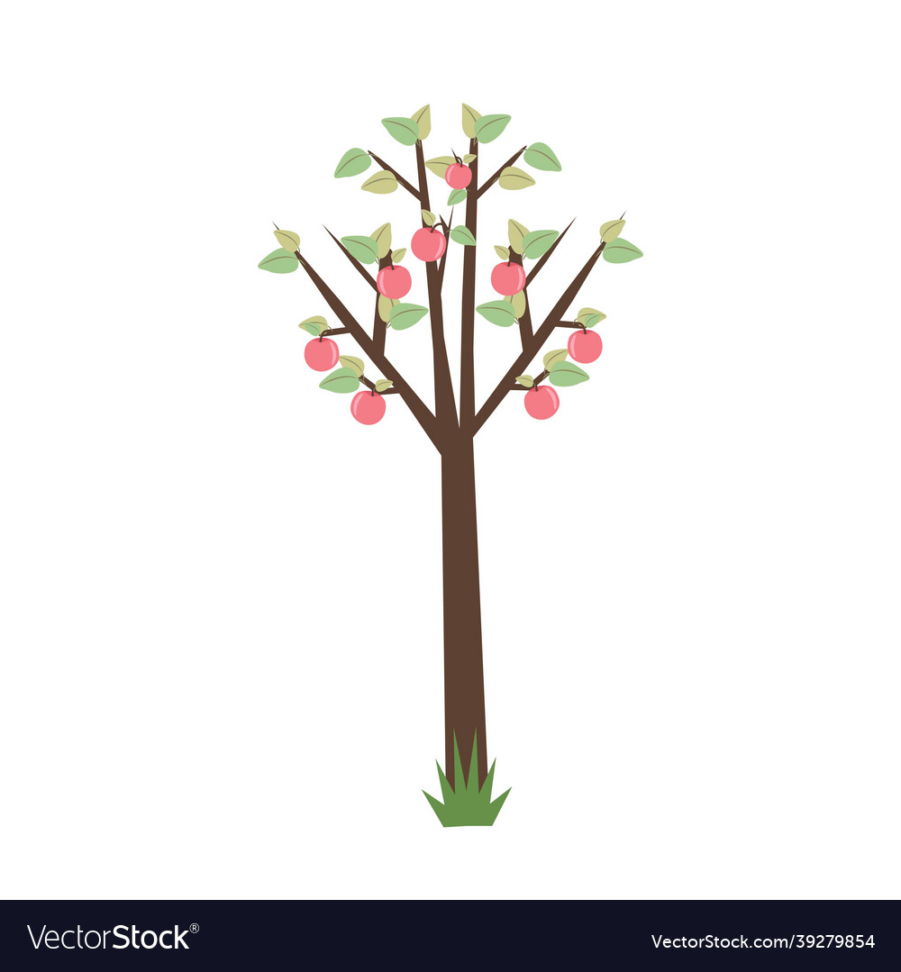 Apple tree with apples object in flat vector image Apple tree with apples object in flat