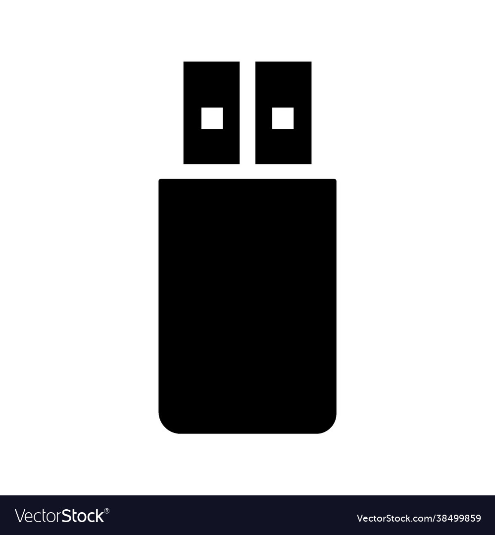 Flash disk icon vector image Flash disk icon