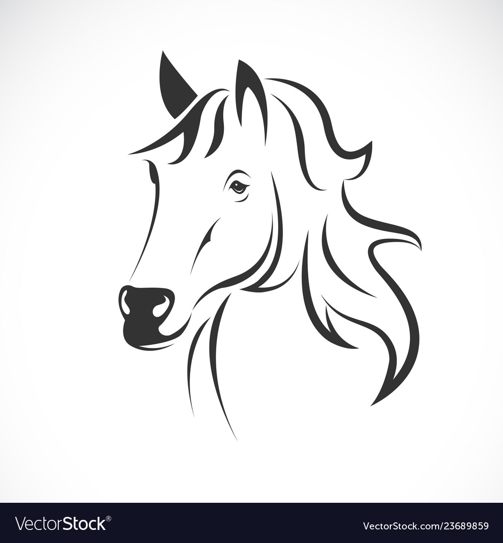 Horse head design on a white background wild vector image Horse head design on a white background wild