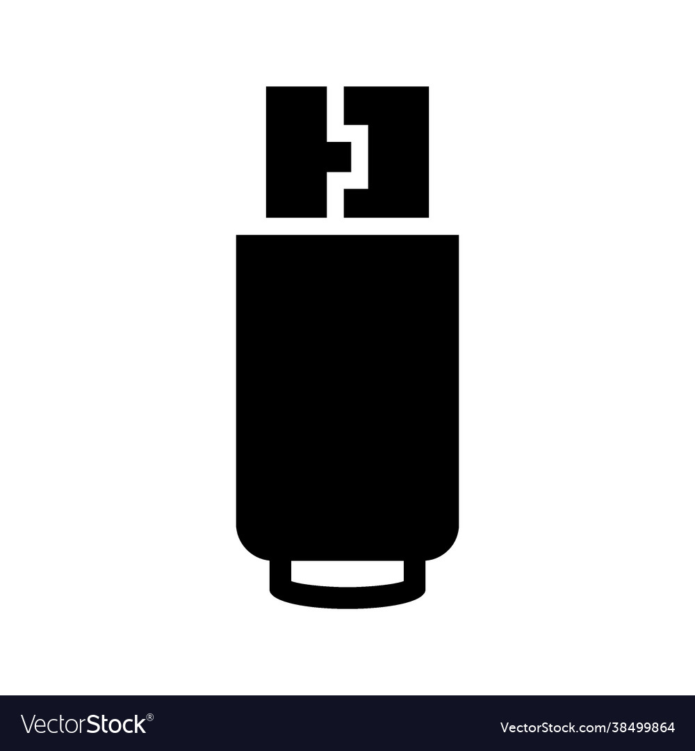 Flash disk icon vector image Flash disk icon