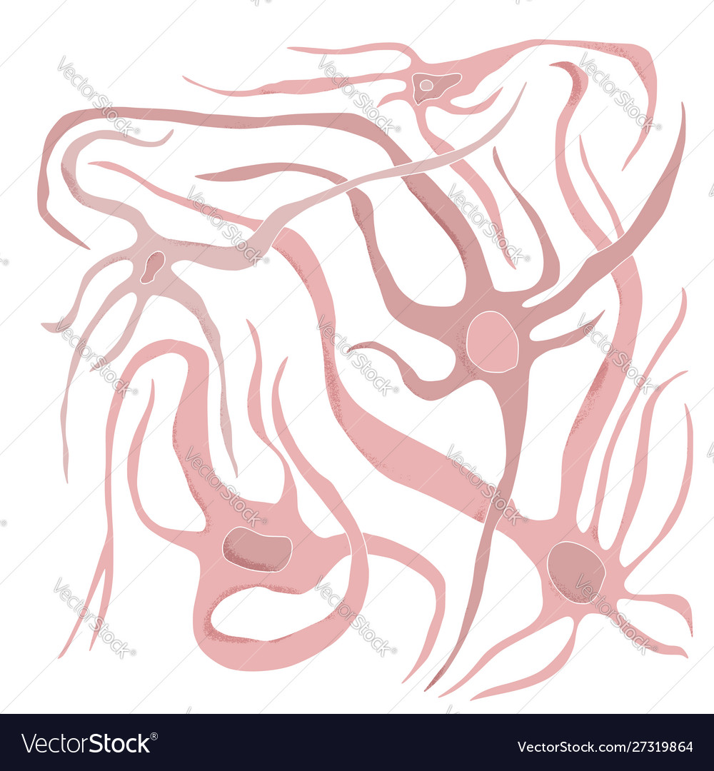 Neuron cells simple design vector image Neuron cells simple design