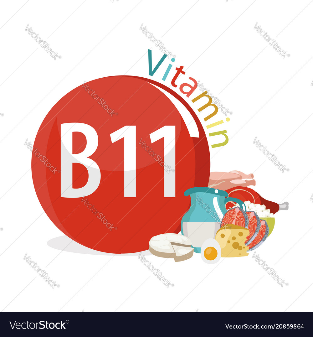 Vitamin B11 Levocarnitine - Nutritional Foods