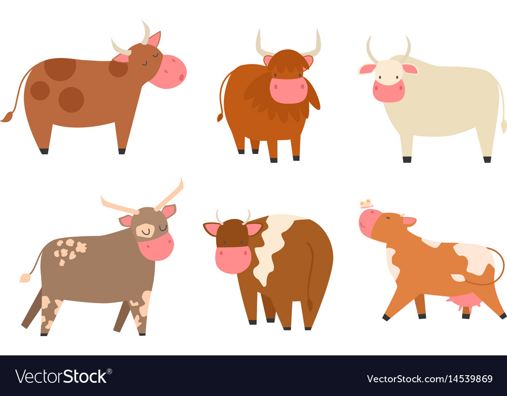 Bulls cows farm animal character Royalty Free Vector Image