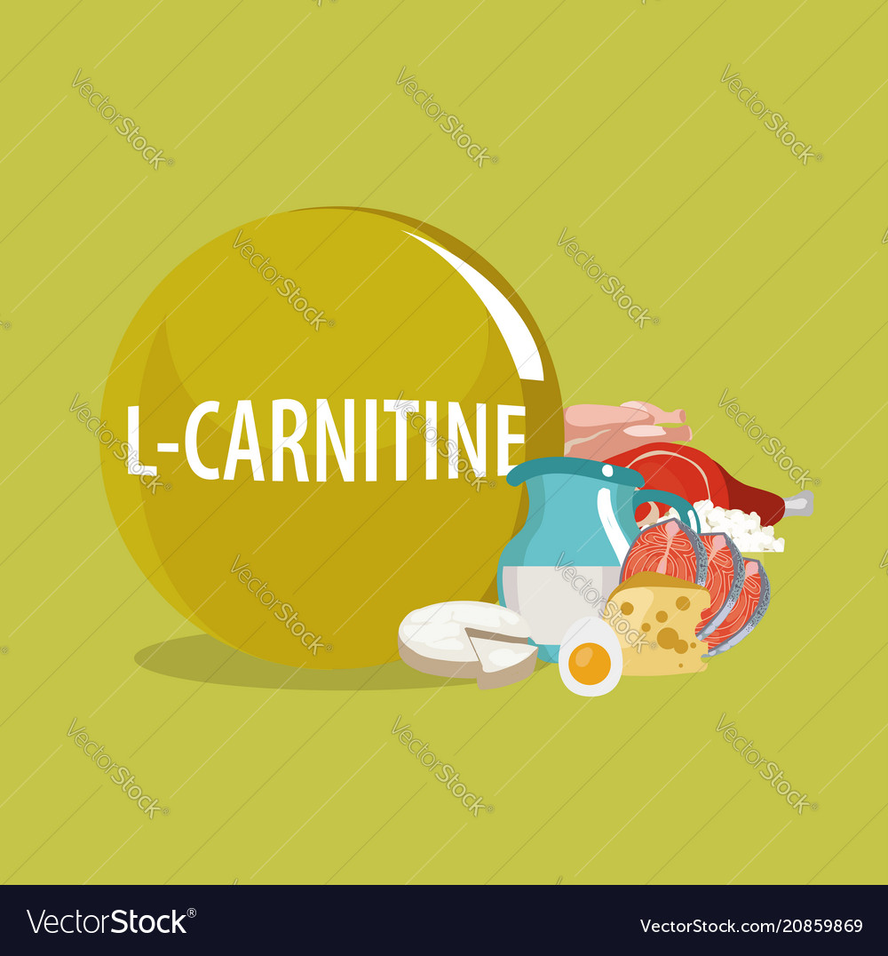 Levokarnitin vitamin b11 l-carnitine