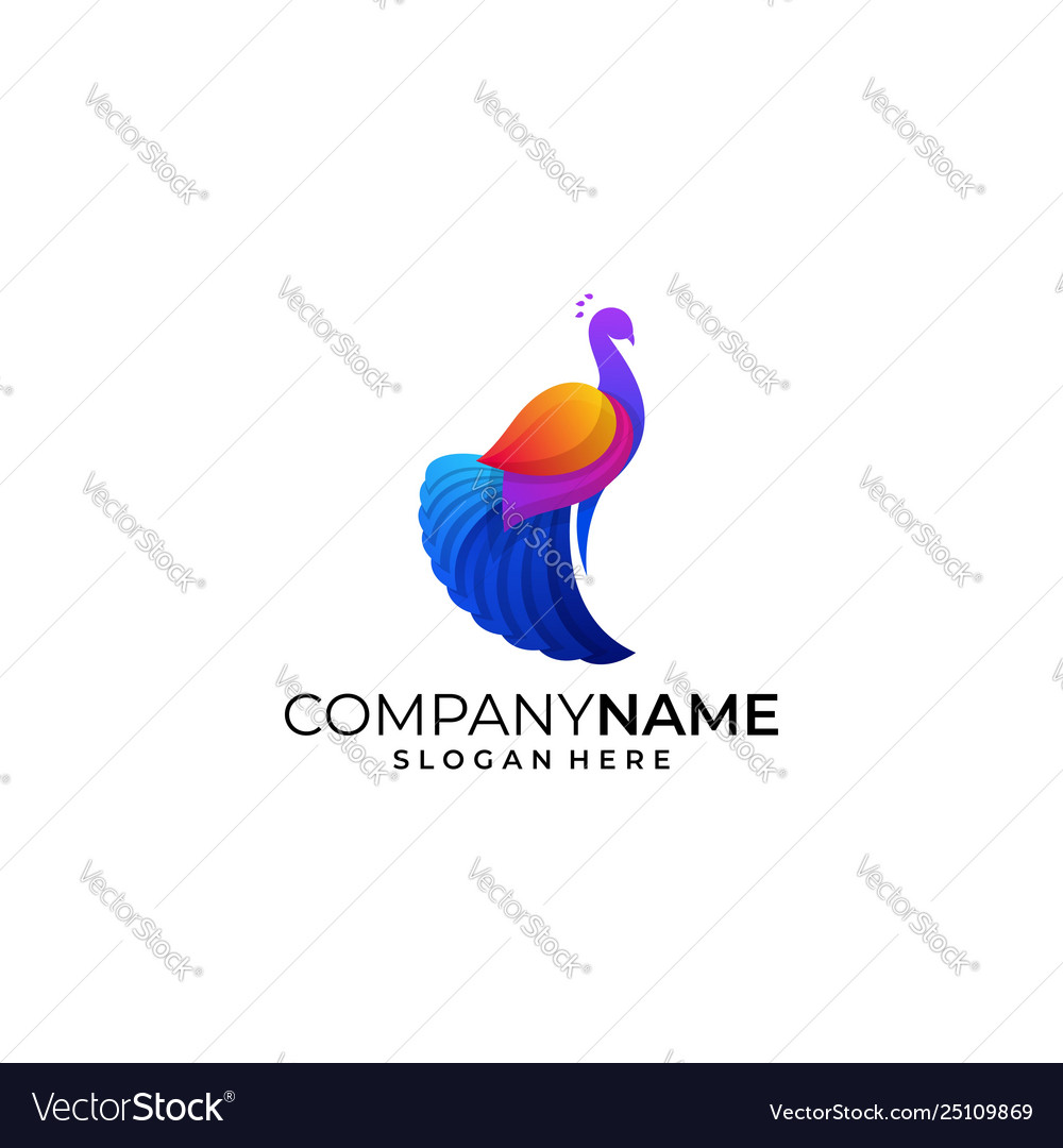 Peacock colorful template Royalty Free Vector Image