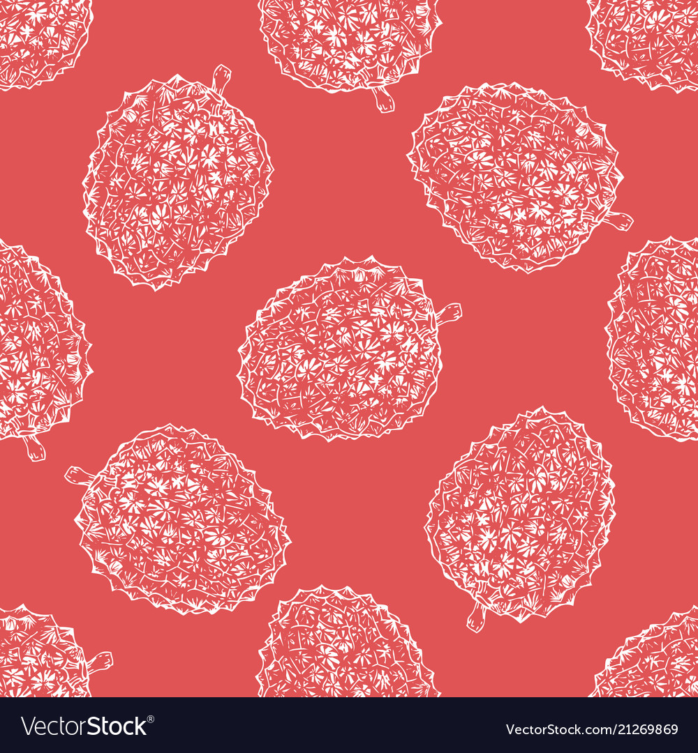 Seamless pattern with lychee vector image Seamless pattern with lychee