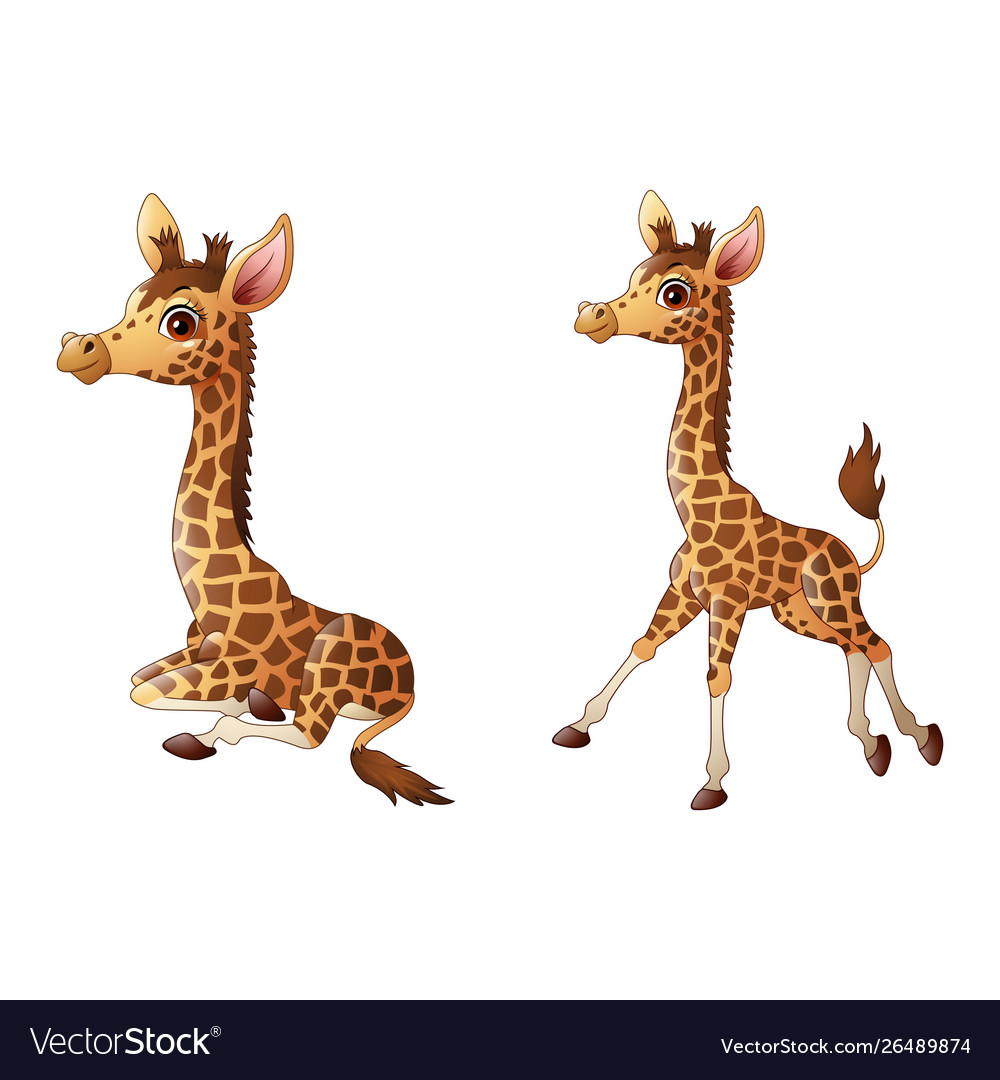 Cute giraffe cartoon collections Royalty Free Vector Image Cute giraffe cartoon collections Royalty Free Vector Image