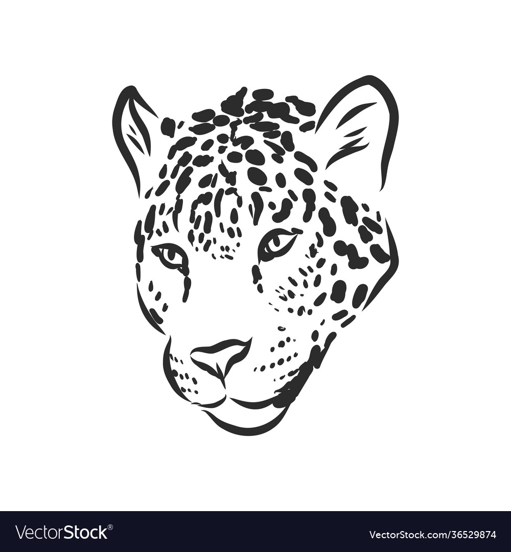 jaguar face clipart black and white