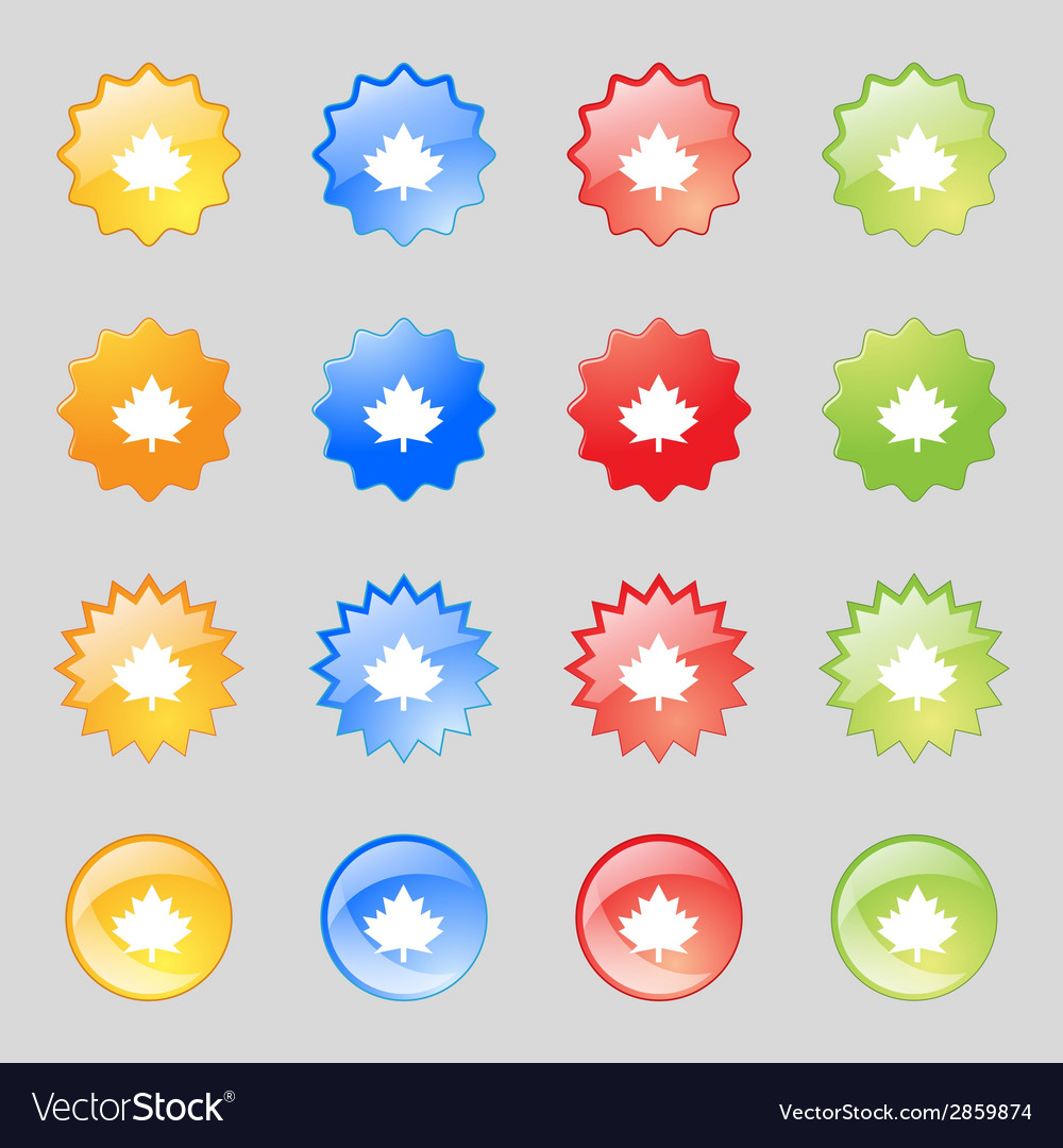 Maple leaf icon set colourful buttons