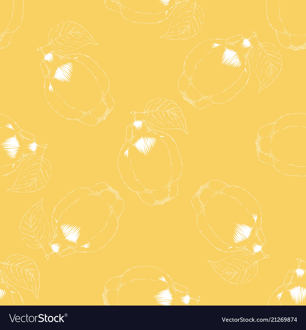 Seamless pattern with quince vector image Seamless pattern with quince