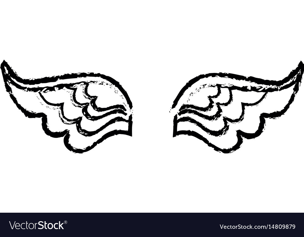 Feather wings isolated