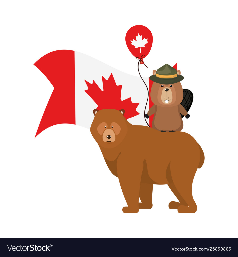 Beaver and bear animal canada design